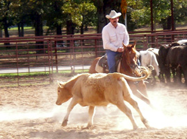 SUN O TENINO in cutting horse training with Matlock Rose. Ridden by Zac Allen.